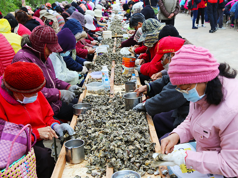 Rock Oyster and Wheat Culture Festival